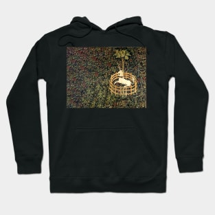 The Unicorn in Captivity Hoodie